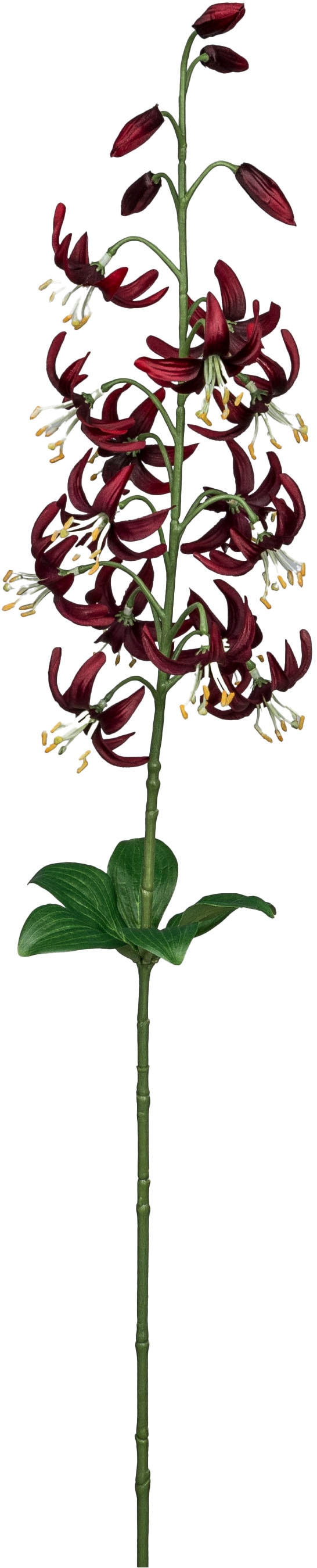 Creativ green Kunstblume "Wildlilienzweig" mit zauberhaften Blüten
