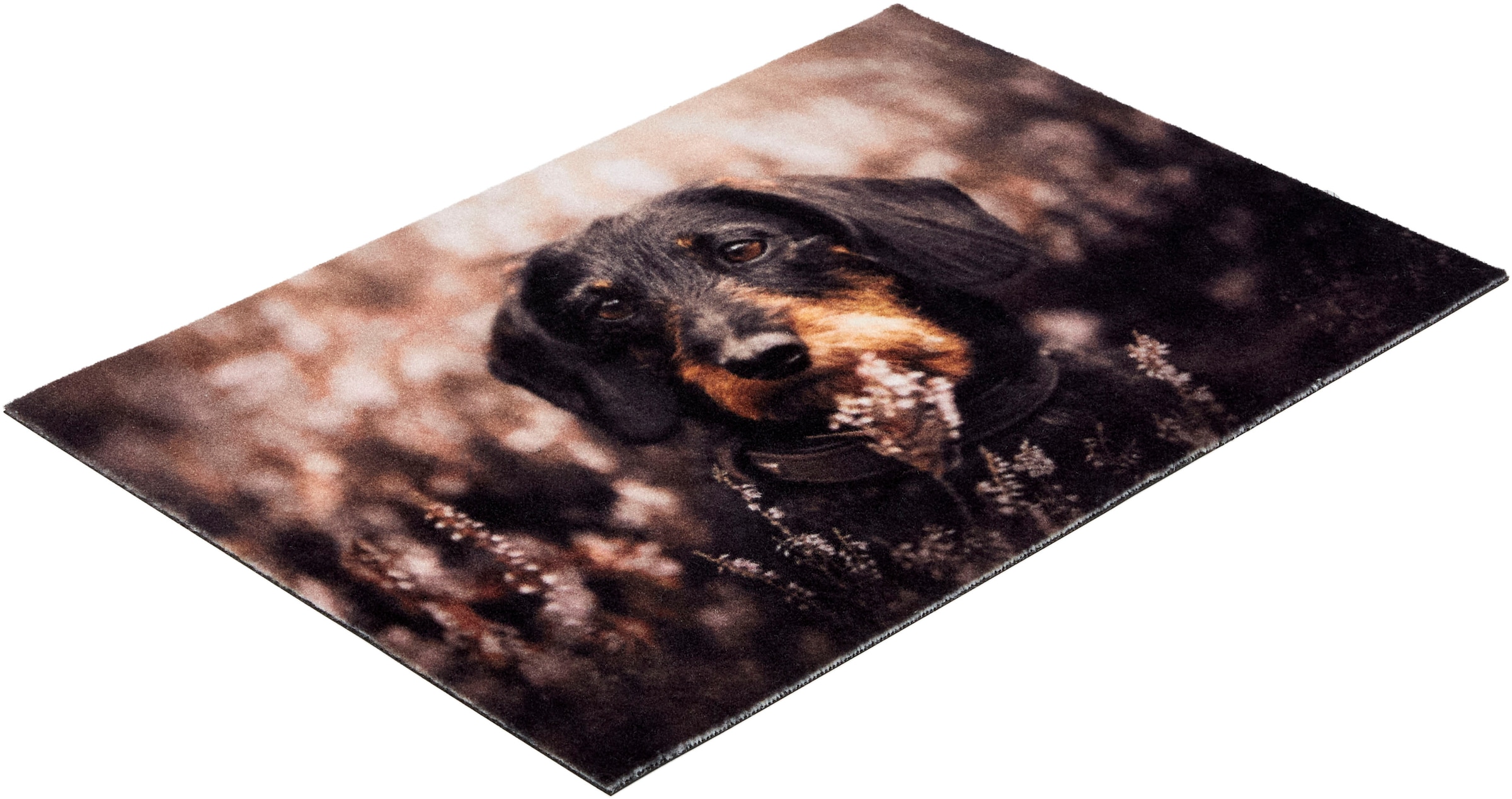 ASTRA Fußmatte »Deco Print 106« rechteckig 5 mm Höhe Sauberlaufmatte, Türmatte, waschbar, Eingangsbereich, rutschfest