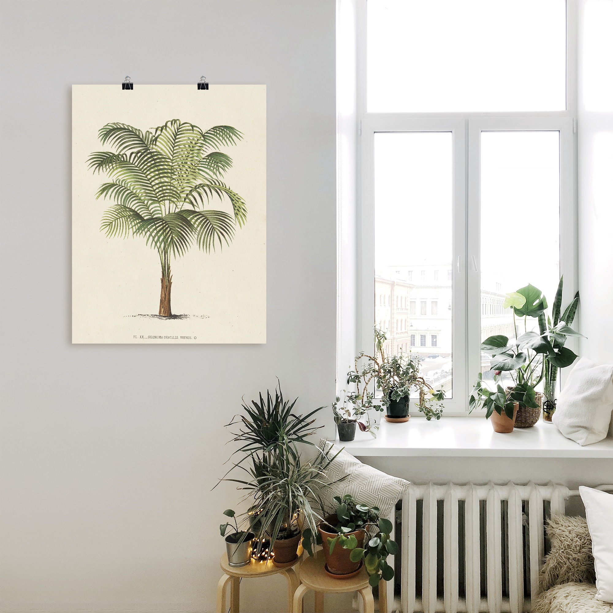 Artland Wandbild »Palme II«, Pflanzen, (1 Poster Alubild, Leinwandbild, oder bestellen in BAUR als | Größen Wandaufkleber versch. St.)