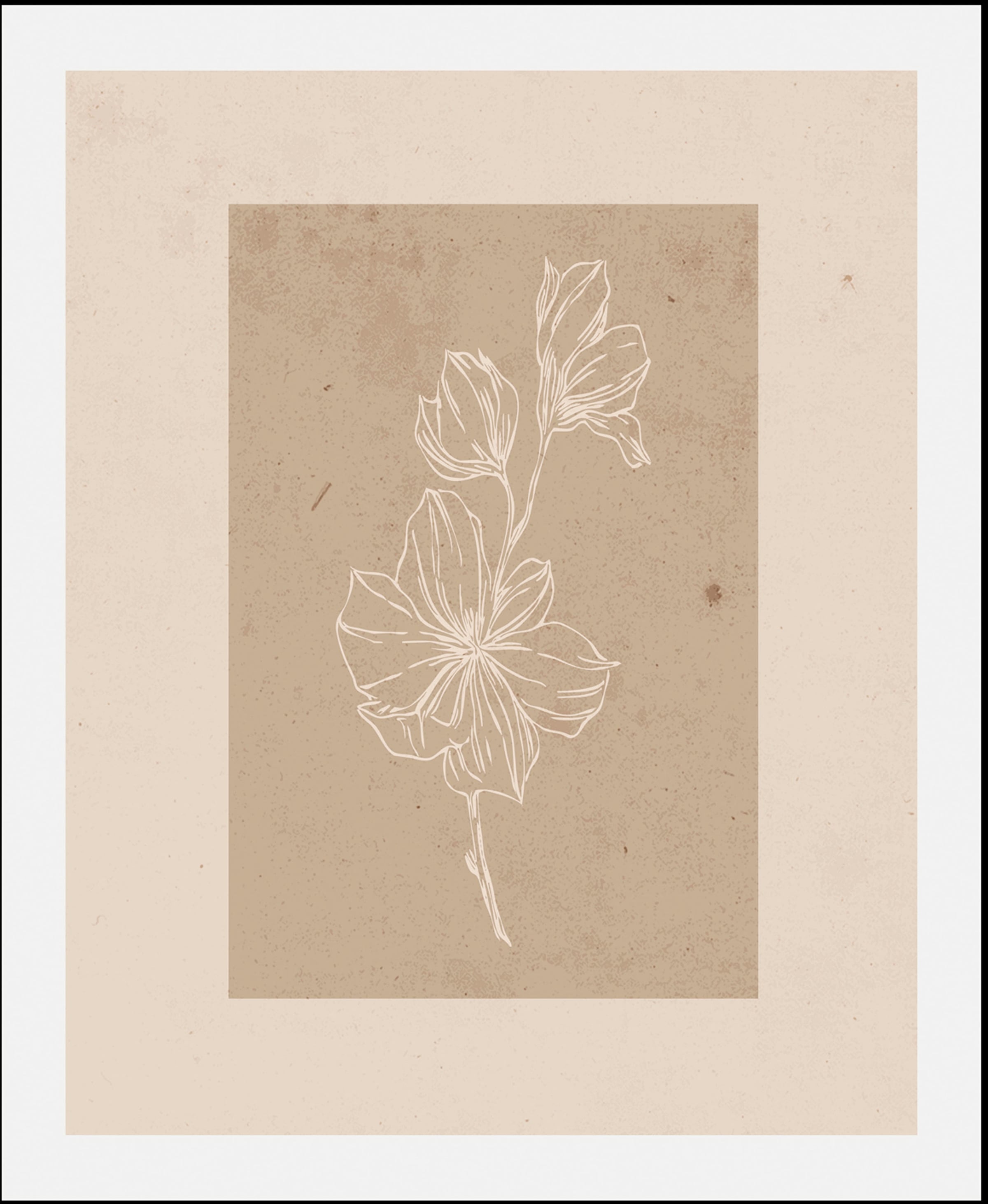 queence Bild "Havanna" Art  Blumen  Kunst  Pflanzen  Pflanzenbilder 1 Stk. günstig online kaufen