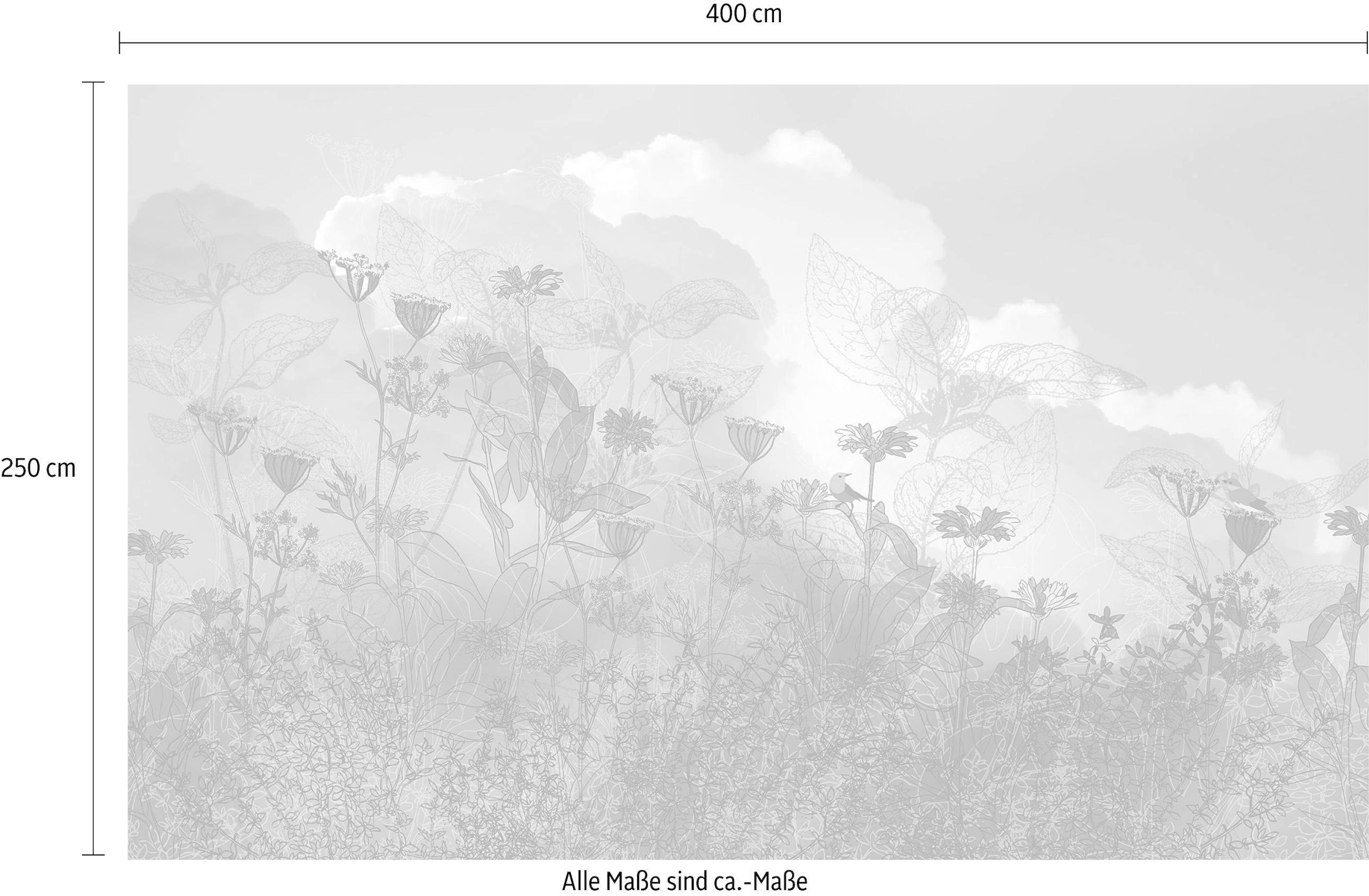 Komar Vliestapete »Digitaldruck Vlies - Blue Sky - Größe 400 x 250 cm«, bedruckt, Wohnzimmer, Schlafzimmer
