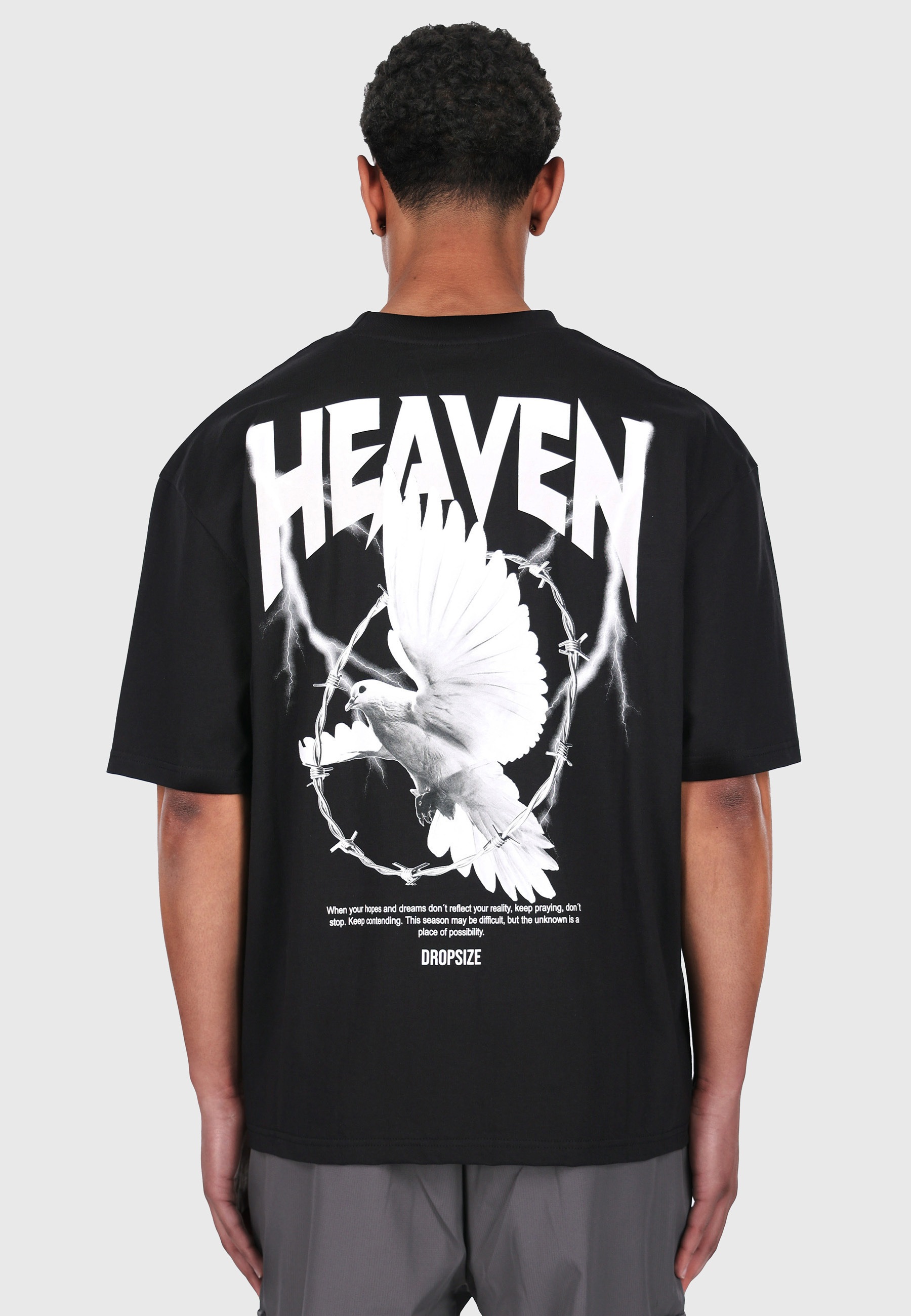 Dropsize T-Shirt »Dropsize HEAVY OVERSIZED HEAVEN DOVE T-SHIRT« 1 Stk.
