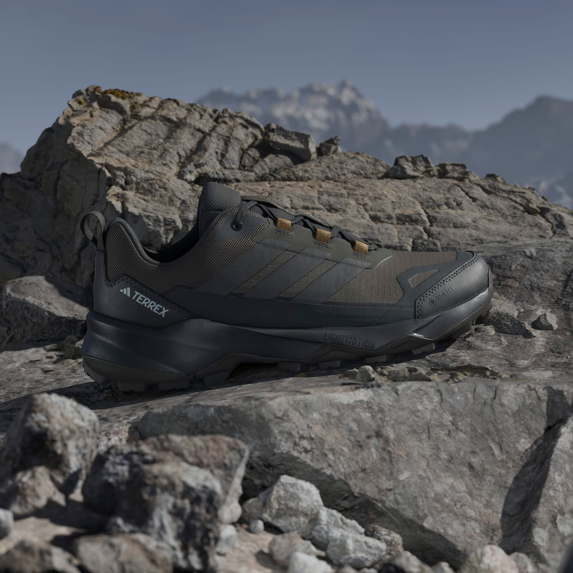 adidas TERREX Wanderschuh »TERREX SKYCHASER AX5 GORE-TEX«, wasserdicht