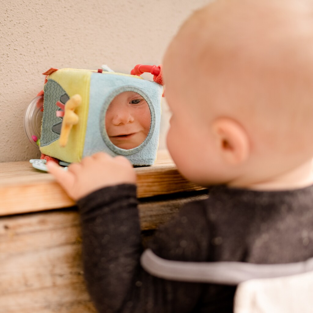 Fehn Kinderwagenanhänger »Happy Dino, Activity-Würfel«