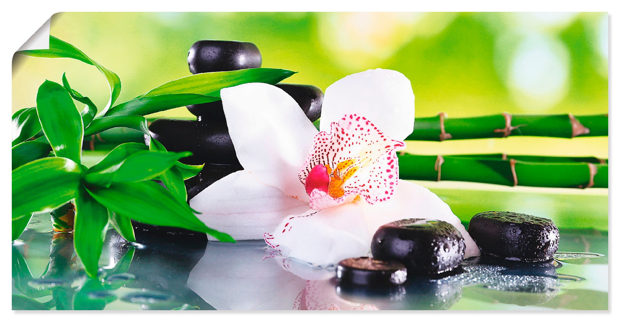 Artland Wandbild (1 »Spa Steine in Bambus St.), Orchidee«, Poster bestellen Zen, als Leinwandbild, Wandaufkleber Zweige Alubild, Größen versch. | BAUR oder