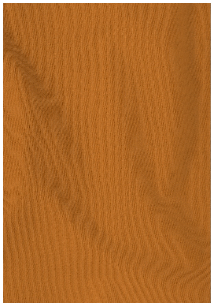 Jack Wolfskin T-Shirt »BRAND T M«