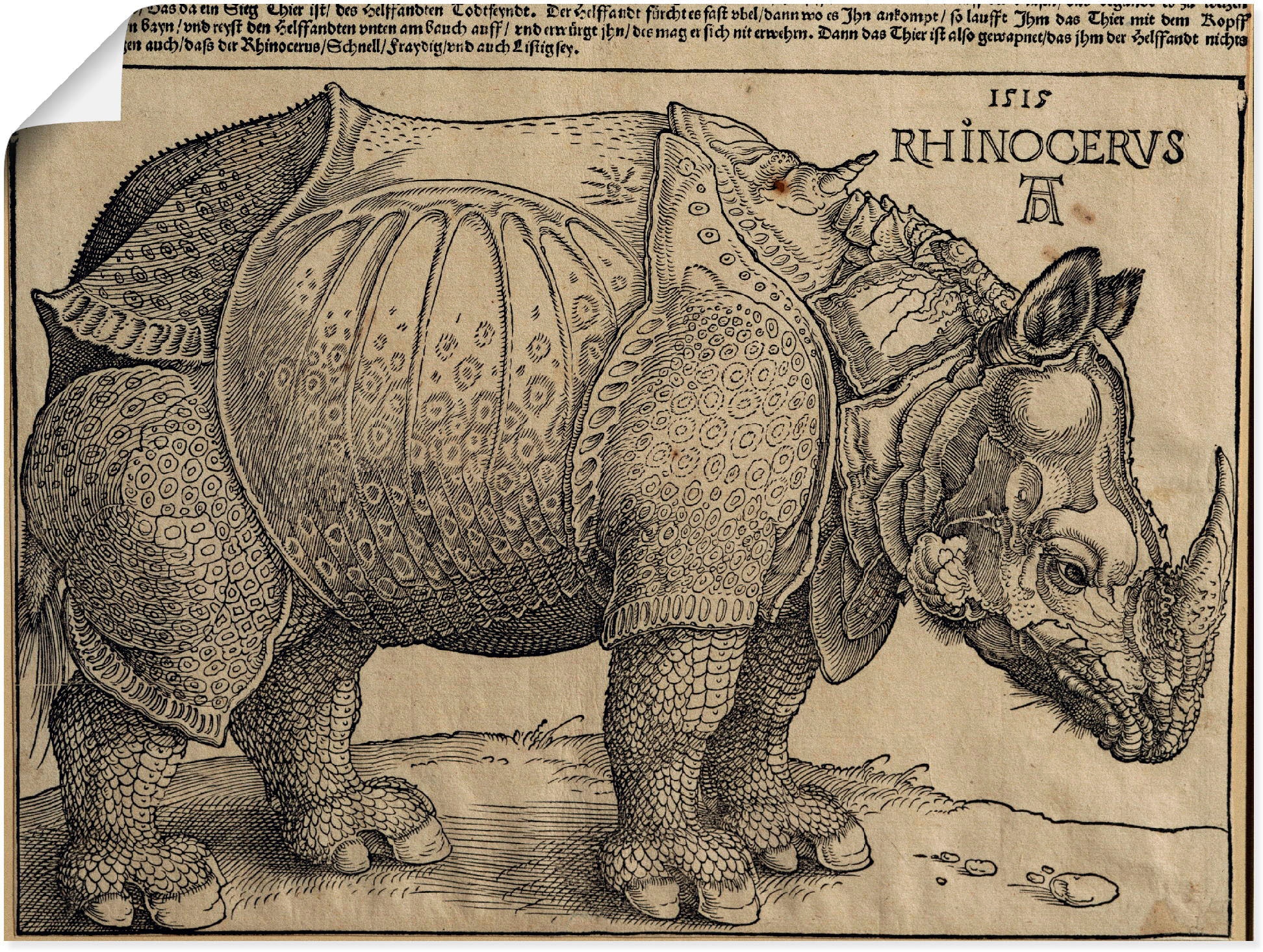 Artland Kunstdruck »Nashorn. 1515. Für König Emanuel.«, Wildtiere, (1 St.), als Leinwandbild, Wandaufkleber oder Poster in versch. Größen