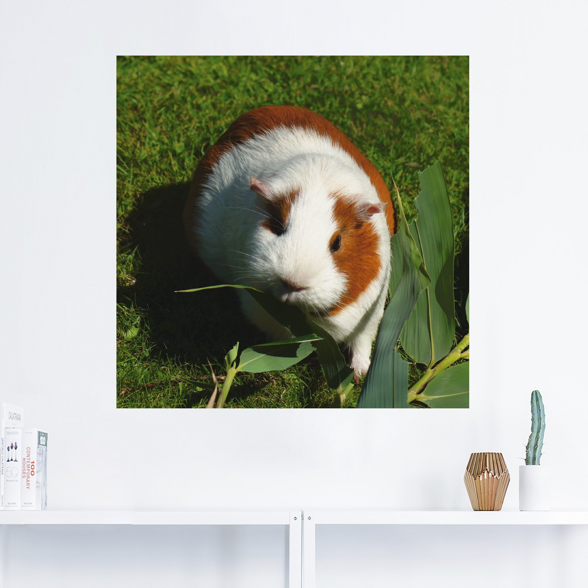 Artland Wandbild »Orange weißes Meerschweinchen«, Haustiere, (1 St.), als Alubild, Outdoorbild, Leinwandbild in verschied. Größen