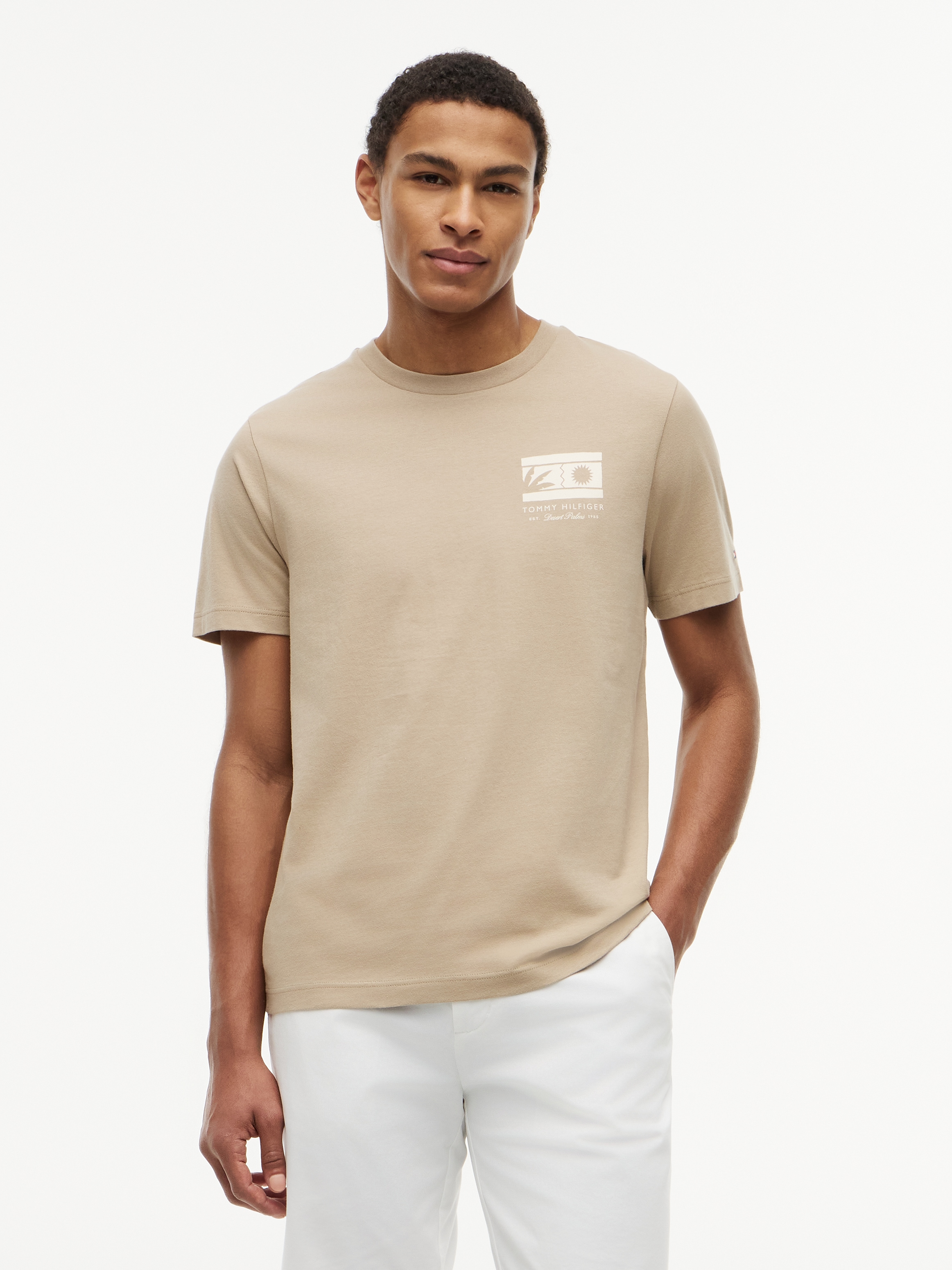 Tommy Hilfiger T-Shirt "MONO SUN GRAPHIC REGULAR TEE" aus Jersey mit Logo-Grafik