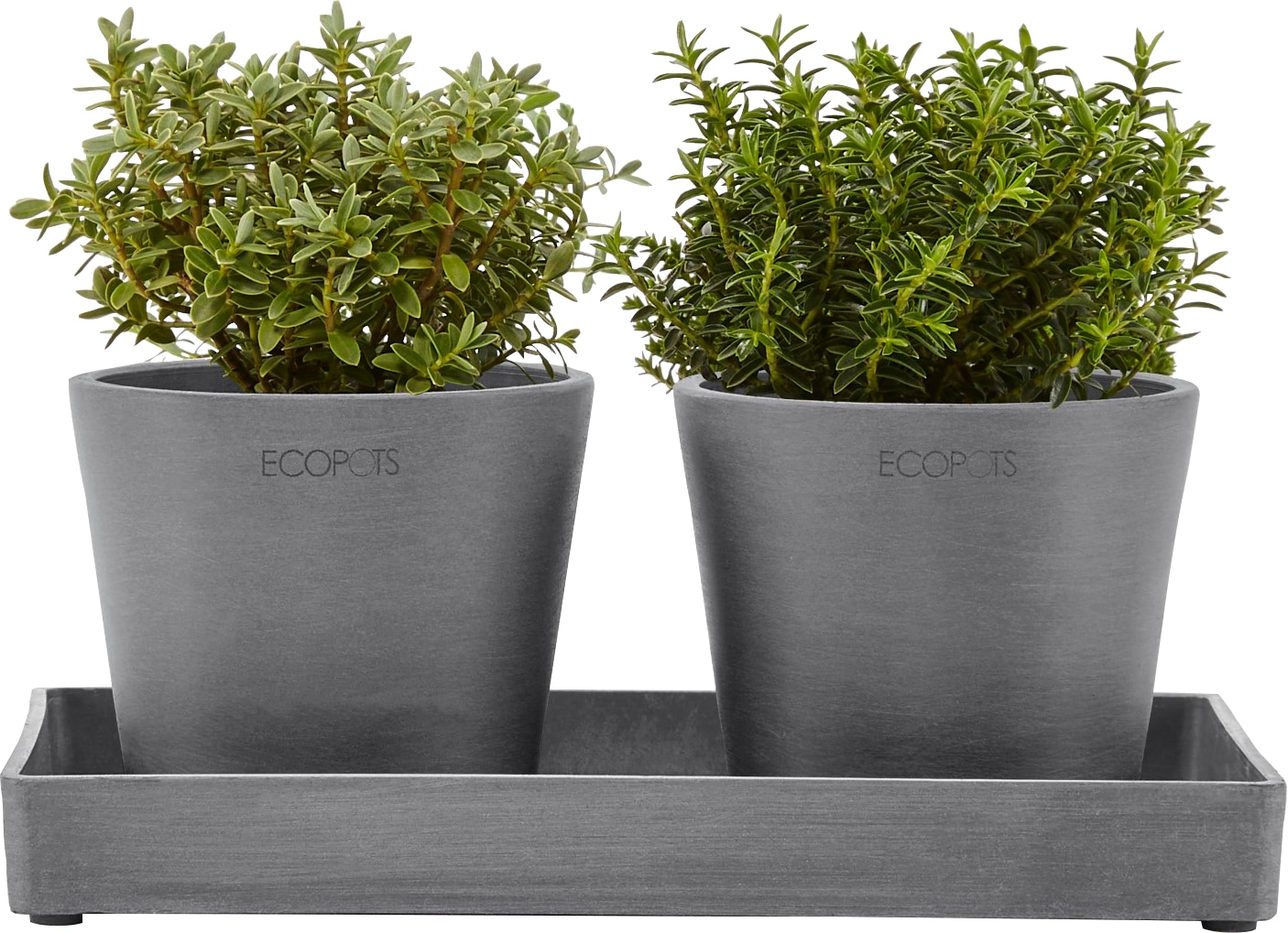 15x15x2,5 cm für | Blumentopfuntersetzer Ecopots Amsterdam, per Rechnung »DISPLAY BAUR BxTxH: PLATTER«, ECOPOTS