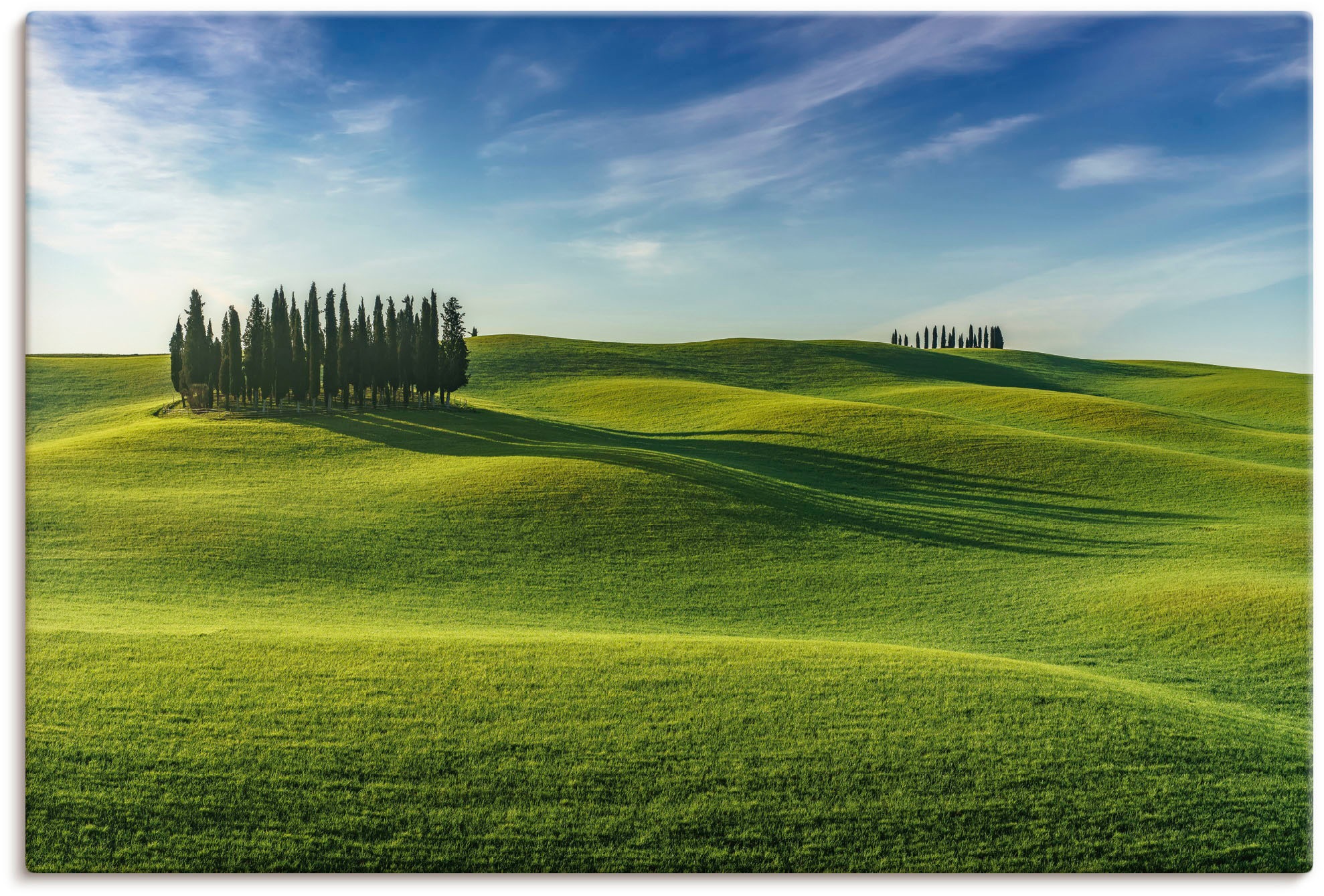 Italien«, Poster (1 Wandbild Alubild, Black Baumbilder, & Wiesen Wandaufkleber in Toskana | »Val Friday d\'Orcia oder BAUR versch. Größen Artland als St.), Leinwandbild,