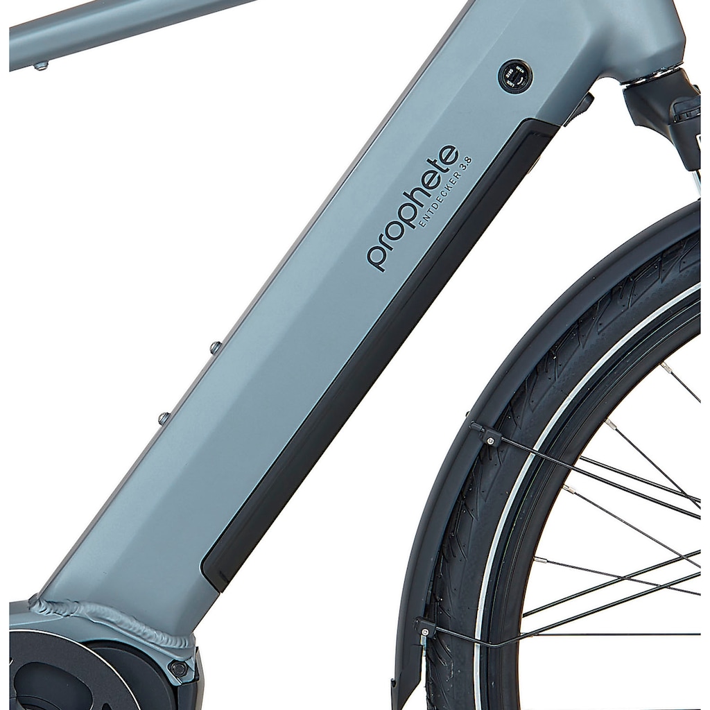 Prophete E-Bike »Prophete E-Bike Entdecker 3.8«, 8 Gang, Shimano, Altus, Mittelmotor 250 W