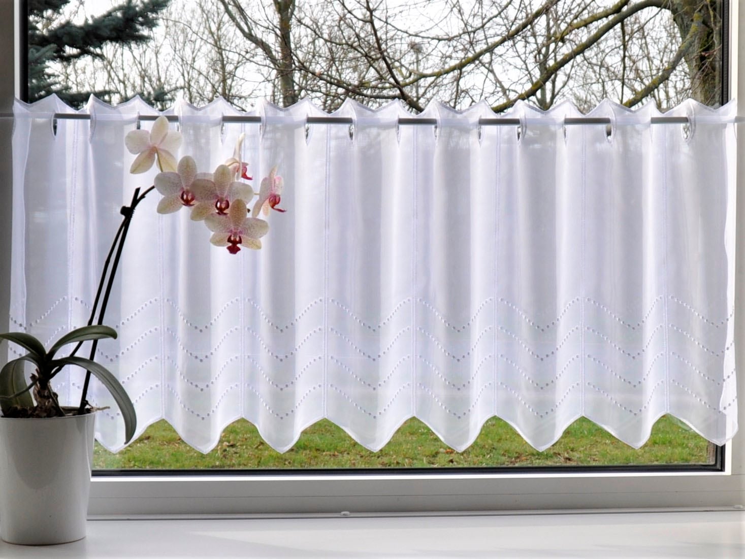 Stickereien Plauen Scheibengardine "Grafik" Stangendurchzug 1 Stk. tlg. günstig online kaufen