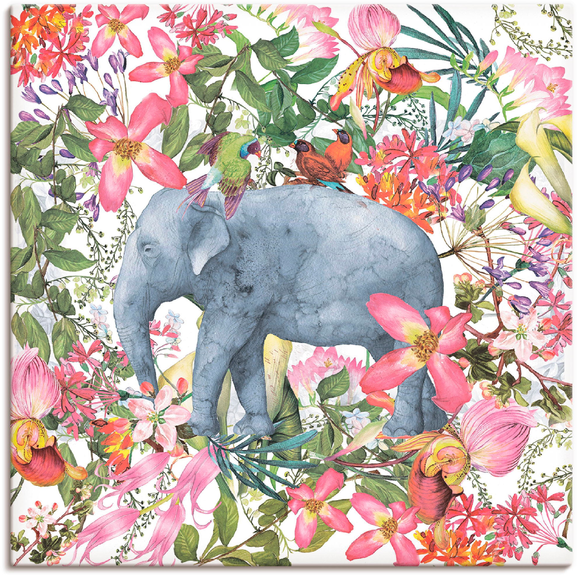 Blüten als Leinwandbild, Alubild, | Wandbild BAUR in Dschungel«, oder St.), (1 kaufen Poster Wildtiere, im Wandaufkleber Artland »Elefant Größen versch.