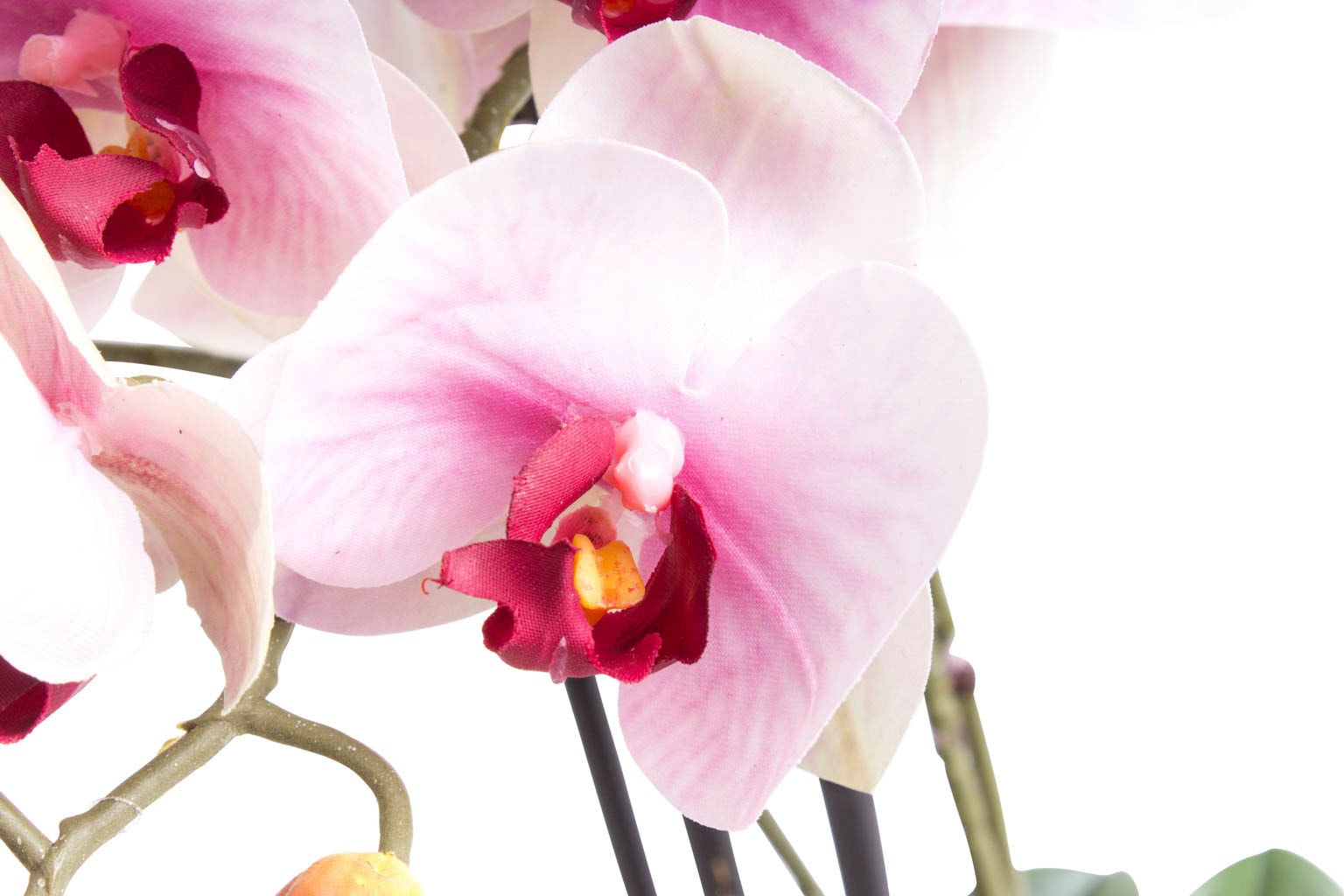 Botanic-Haus Kunstorchidee "Orchidee Bora" günstig online kaufen