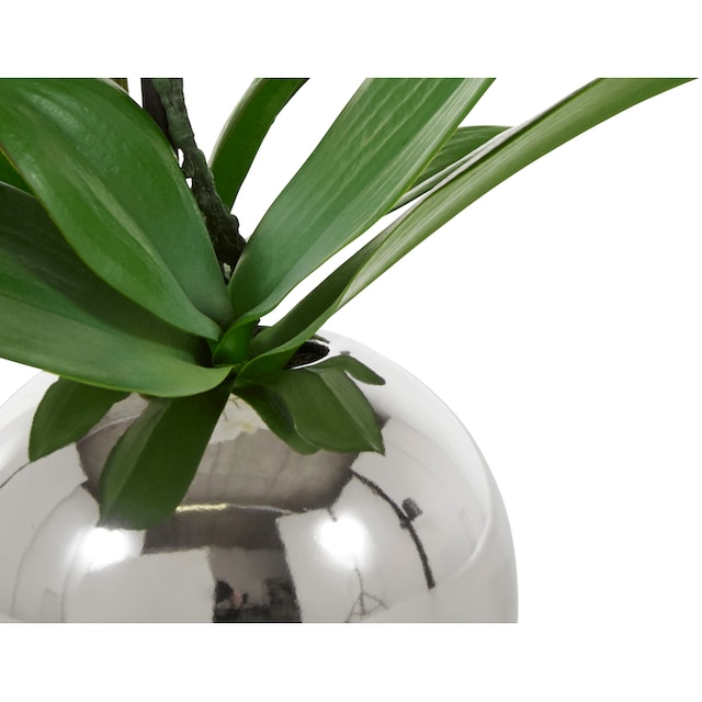 Guido Maria Kretschmer Home&Living Kunstorchidee »Cosidena«, Kunstpflanze,  im Topf aus Keramik bestellen | BAUR