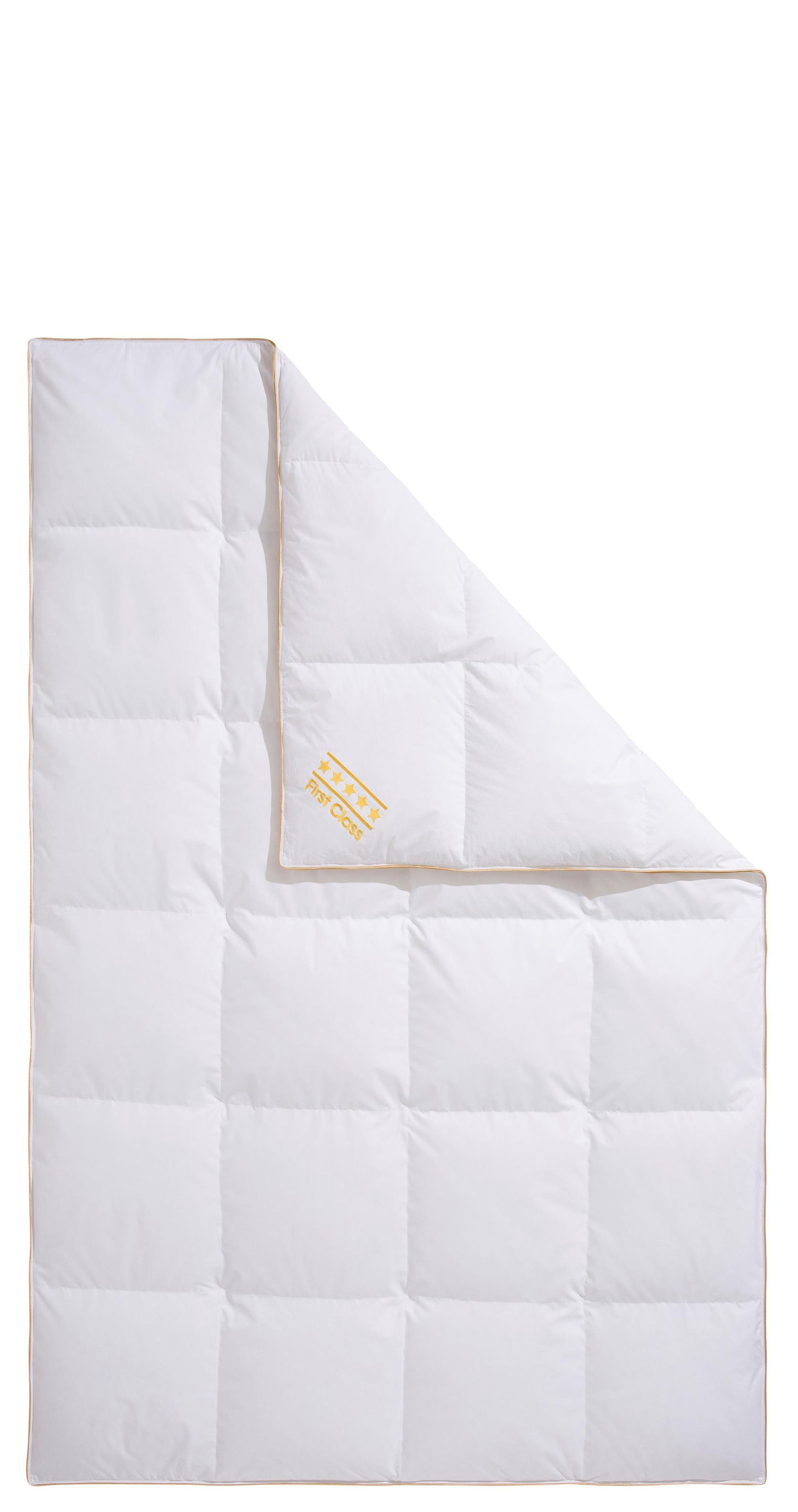 OBB Daunenbettdecke "Emilias, Bettdecken für Sommer und Winter, Ganzjahresd günstig online kaufen