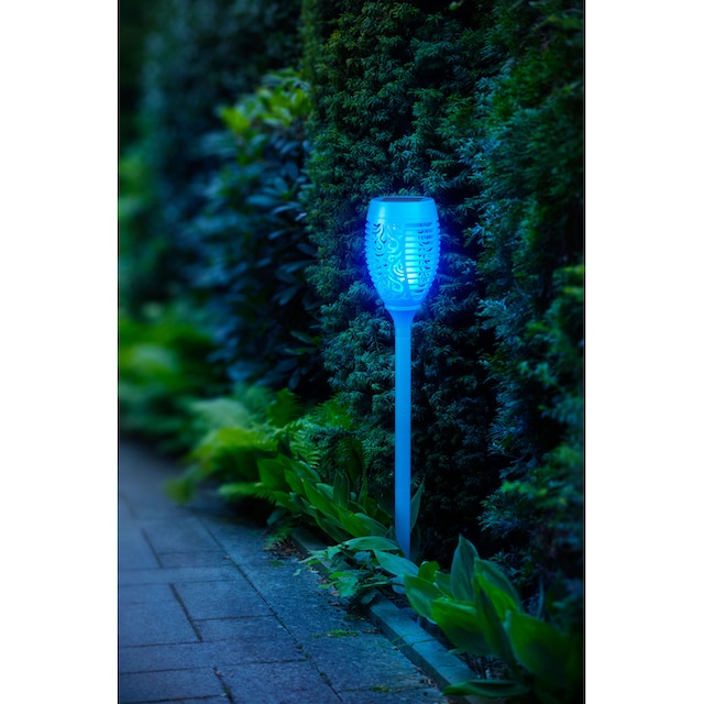 BONETTI LED Gartenfackel, LED Solar Gartenfackel türkis mit realer Flamme  bestellen | BAUR