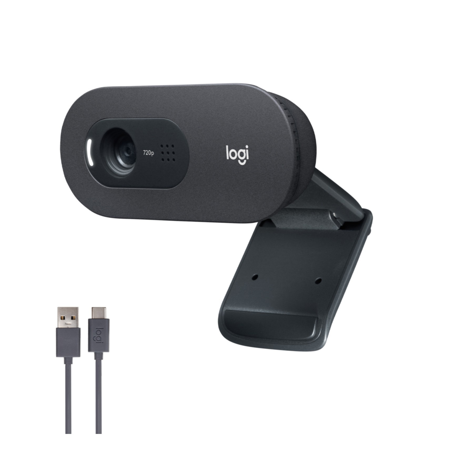 Logitech Webcam »C505 HD«