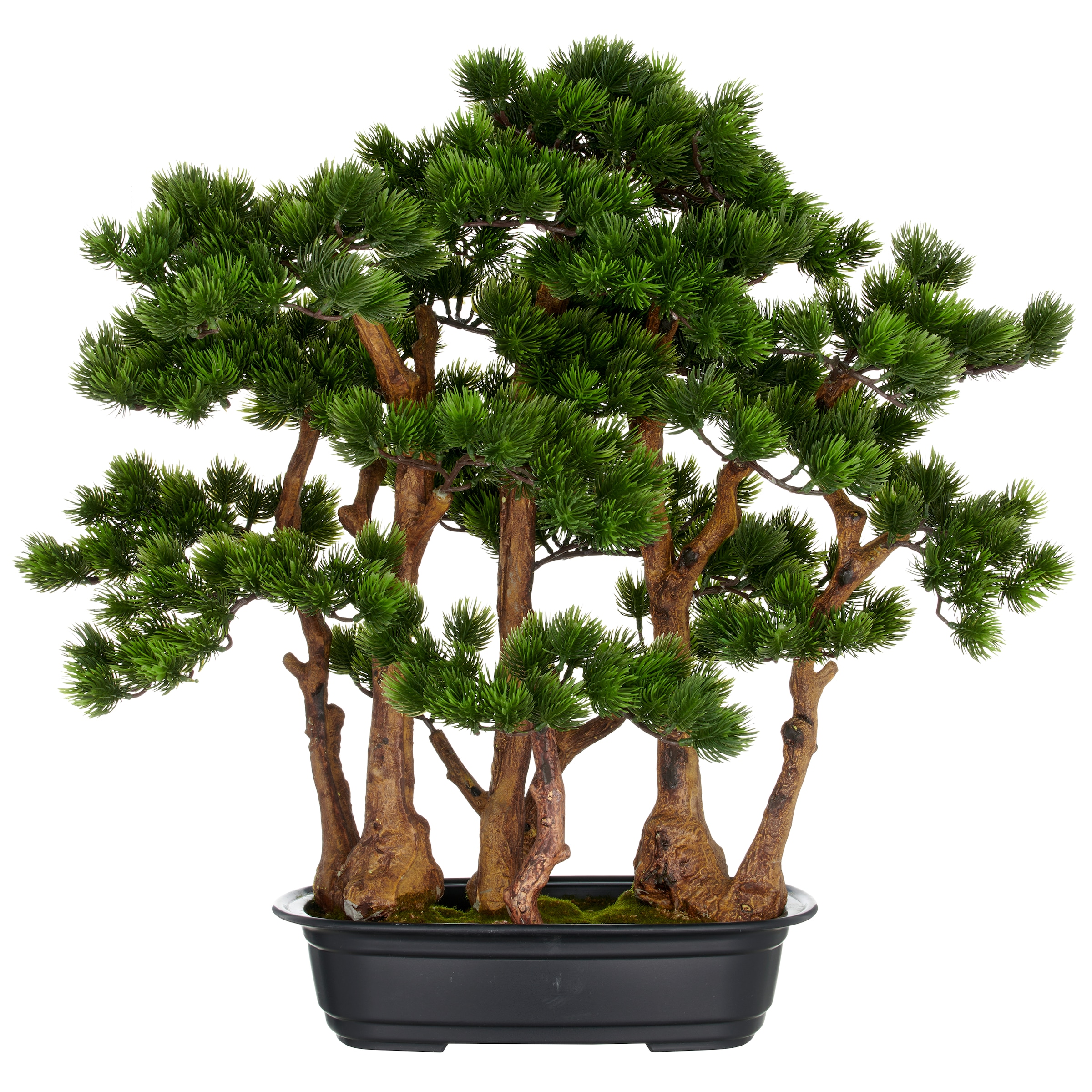 Creativ green Kunstbonsai "Bonsai Kiefer", mit detailgetreuer Gestaltung günstig online kaufen