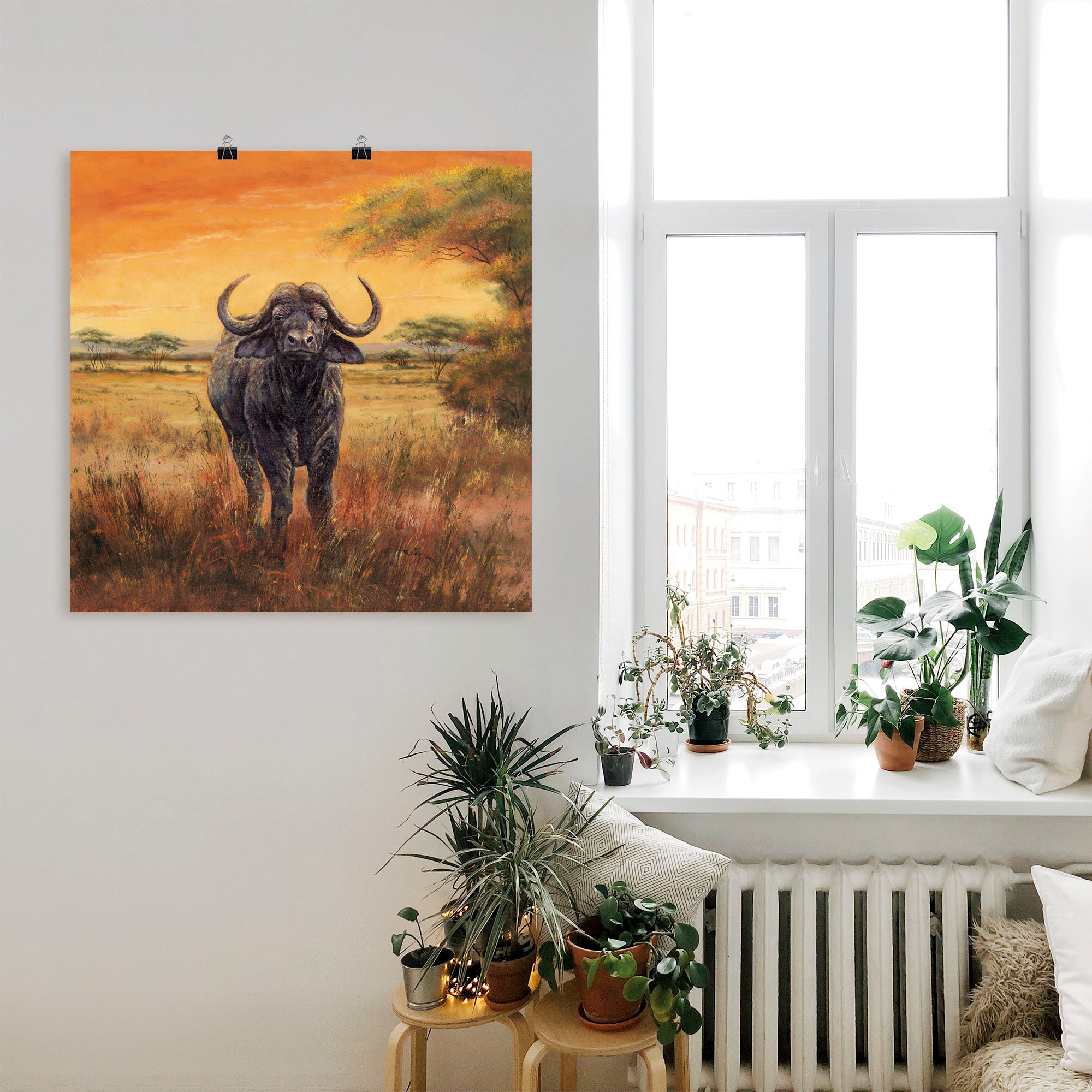 Wandaufkleber Größen St.), | Poster Leinwandbild, Alubild, Wandbild versch. BAUR oder (1 in »Büffel«, Artland kaufen als Wildtiere,