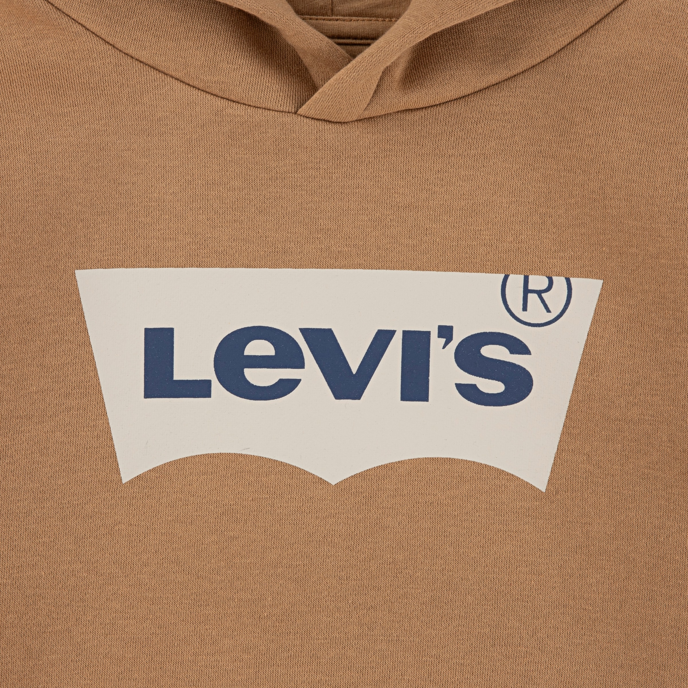 Levi's® Kids Kapuzensweatshirt »LVB BATWING PULLOVER HOODIE«, for BOYS