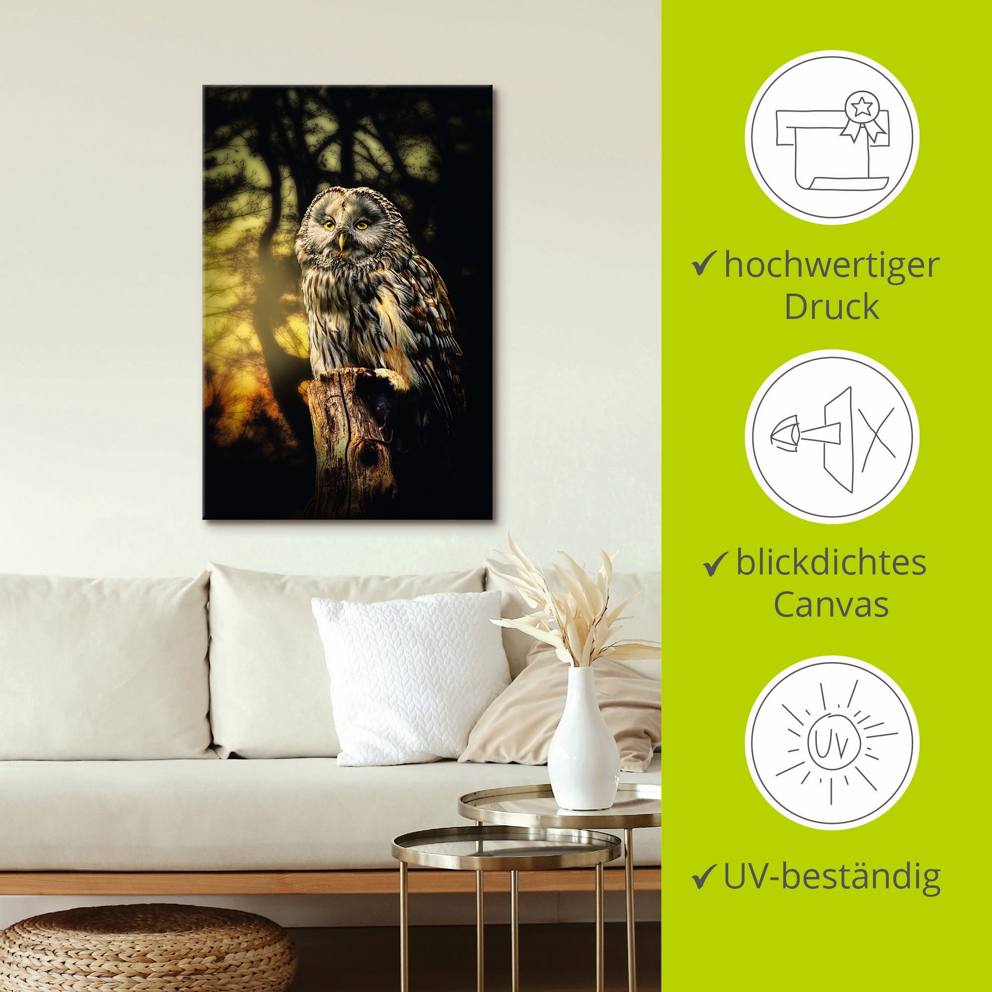 Artland Wandbild »Eule«, Vögel, (1 St.), als Alubild, Outdoorbild, Leinwandbild, Poster in verschied. Größen