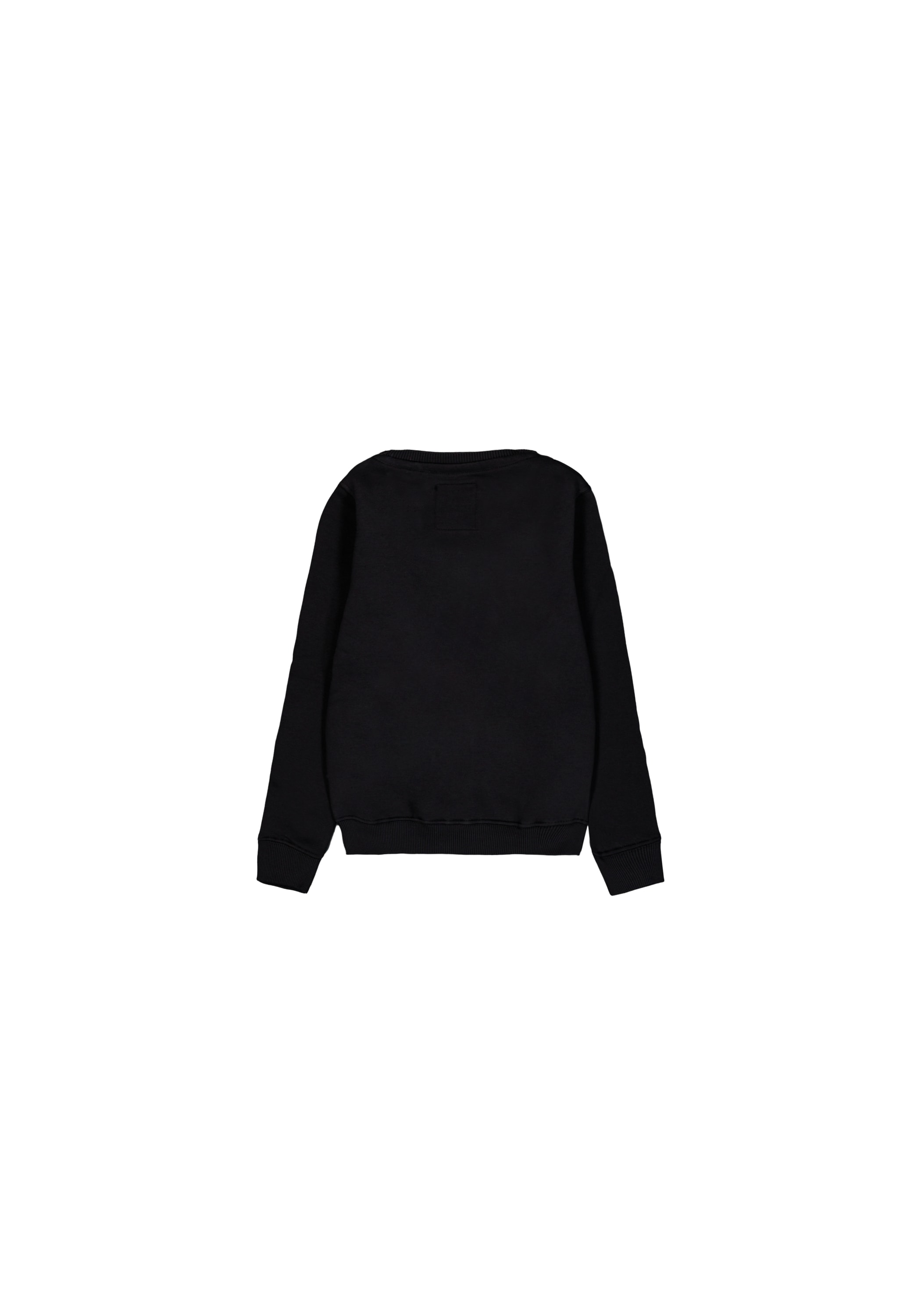 Alpha Industries Sweater »Basic Sweatshirt BL K«
