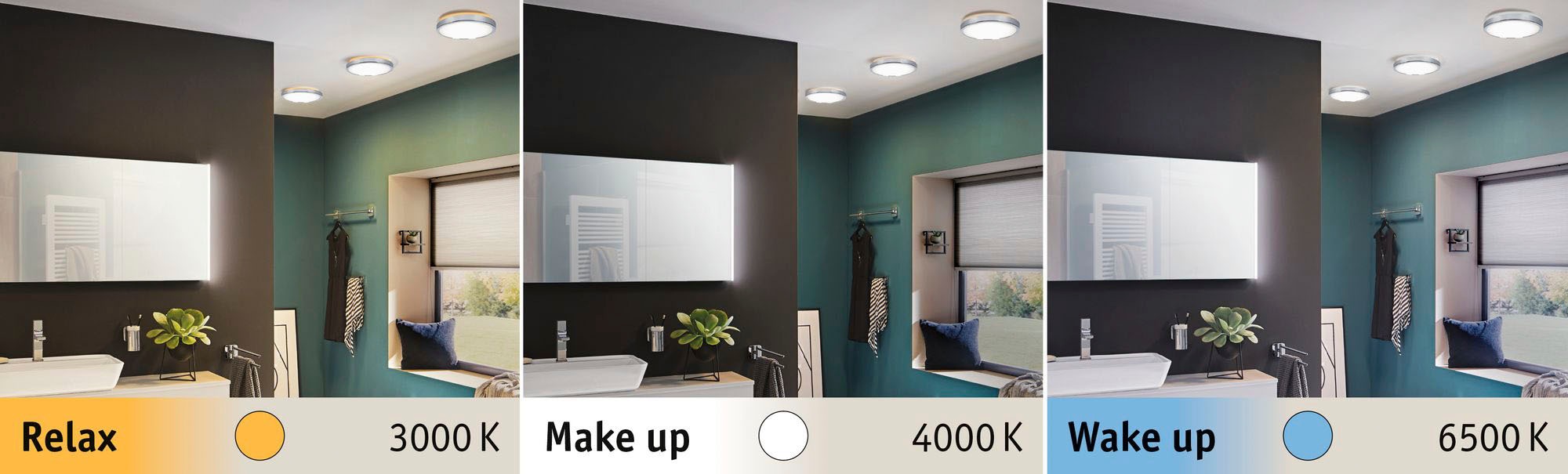 Paulmann LED Deckenleuchte »Aviar«, 1 flammig