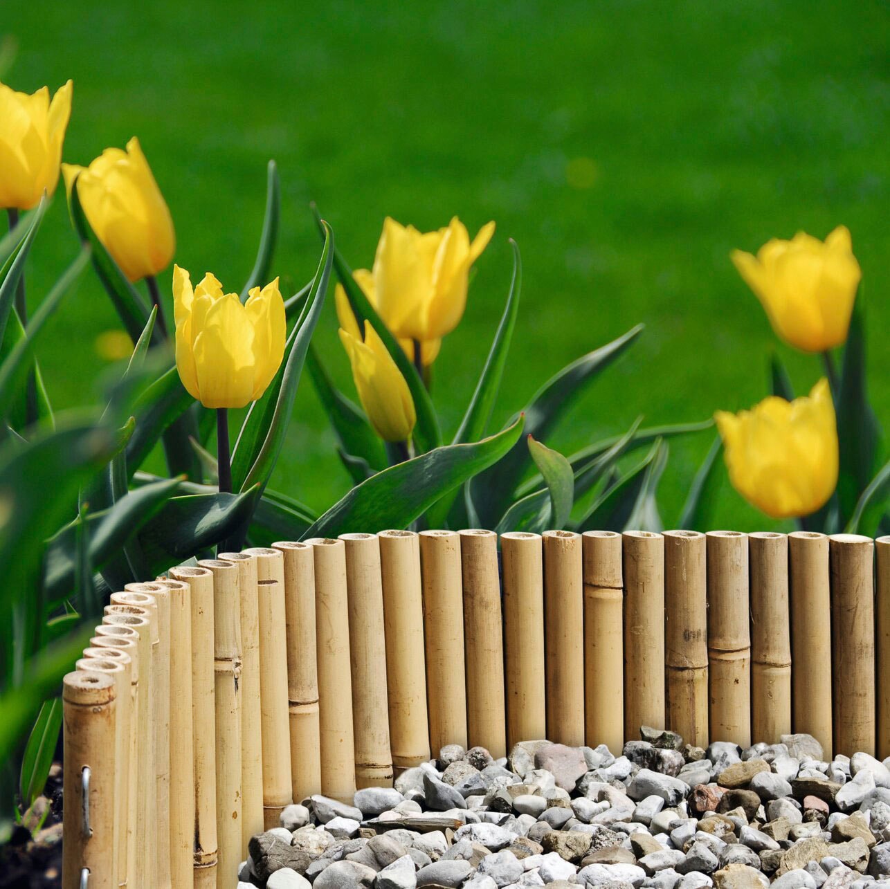 Windhager "aus Bambus für Blumen- und Gemüsebeete, flexible Beeteinfassung" Abgrenzung für runde und eckige Flächen, 100 x 35 cm