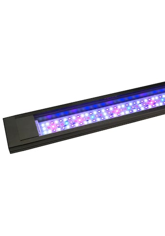 FLUVAL LED Aquariumleuchte »FS Marine 3.0 LED...