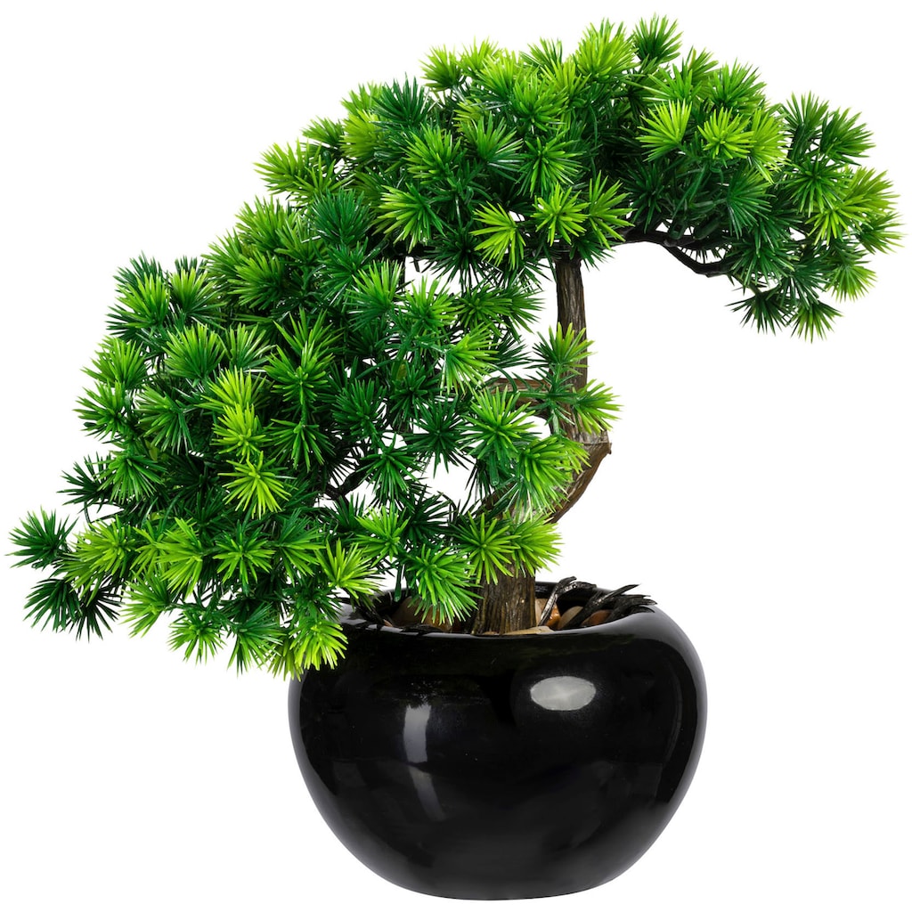 Creativ green Kunstbonsai »Bonsai Lärche«