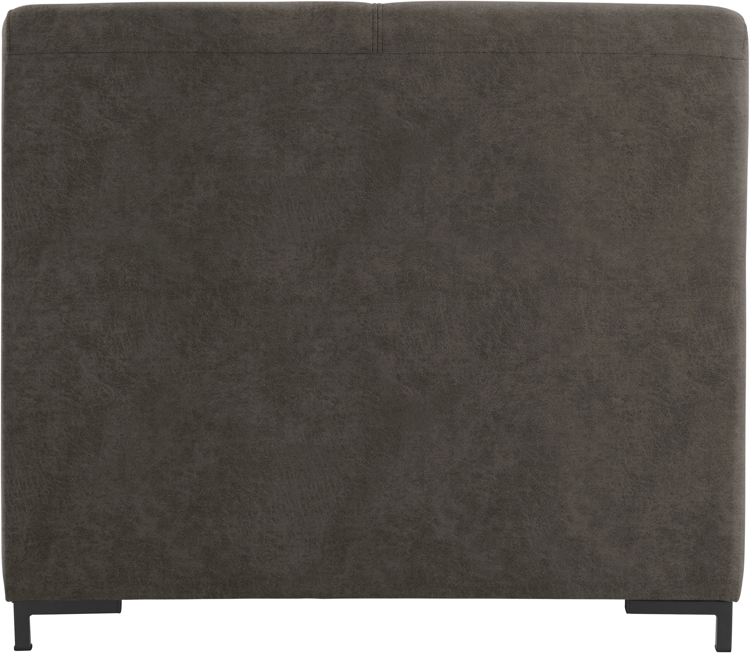 DOMO collection Sessel »Ledas kubisch und komfortabel, flache Armlehnen, eleganter Fuß,«, in vielen Farben erhältlich