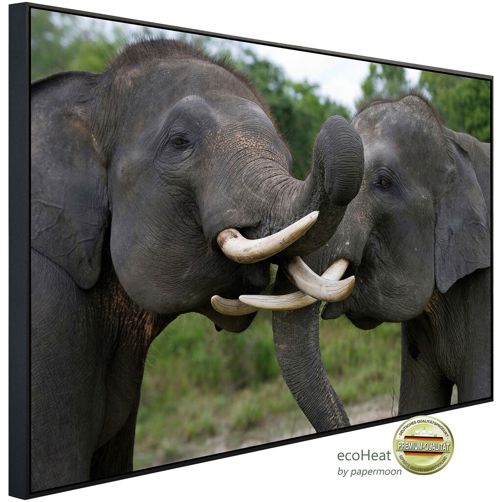 Papermoon Infrarotheizung »Elefanten spielen«
