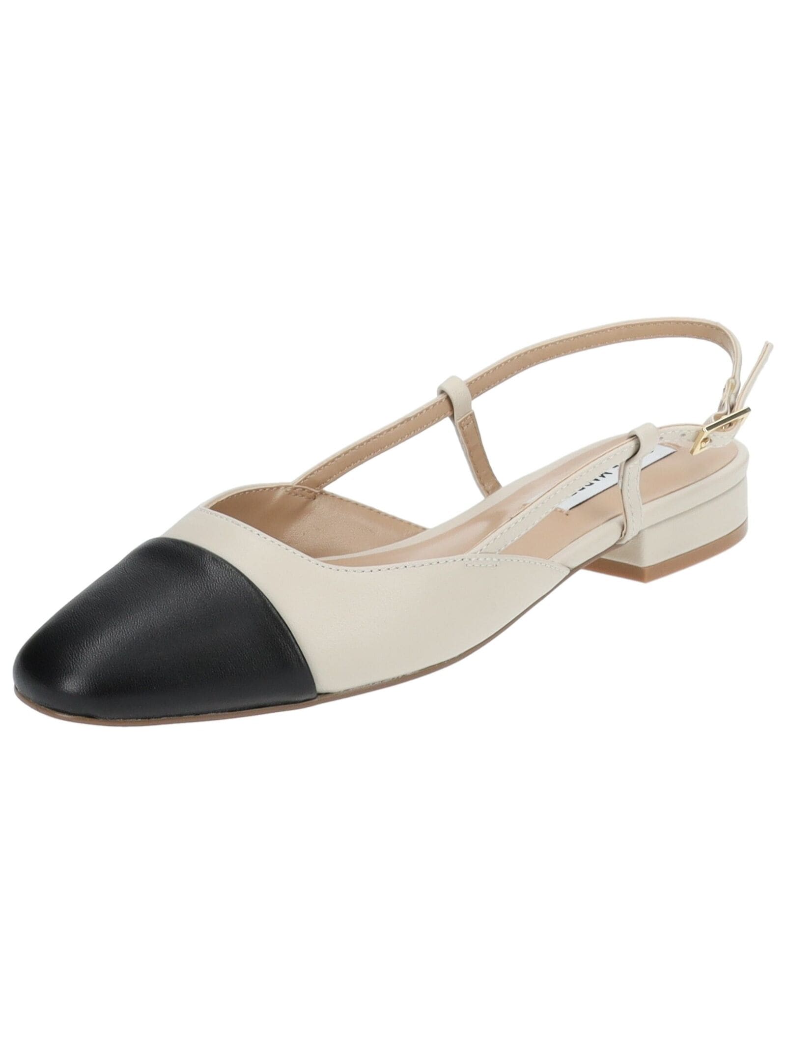 STEVE MADDEN Ballerina "STEVE MADDEN Ballerinas Leder" günstig online kaufen