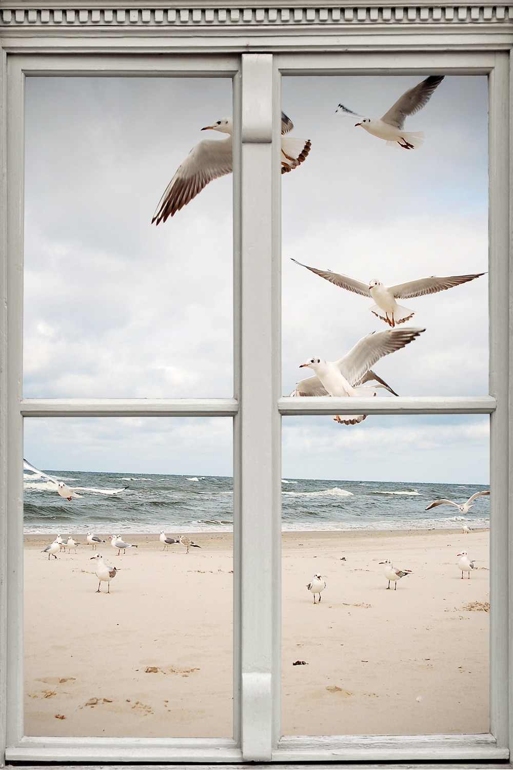 queence Leinwandbild "Möwen" Fensterblick  Meer  Natur  Vögel 1 Stk. tlg. P günstig online kaufen