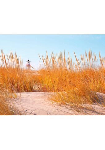 living walls Fototapetas »Strand Dünen« Dünen Tapet...