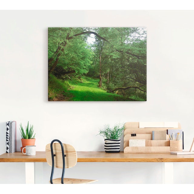Artland Wandbild »Grüner Weg durch den Wald«, Wald, (1 St.), als  Leinwandbild, Wandaufkleber oder Poster in versch. Größen kaufen | BAUR