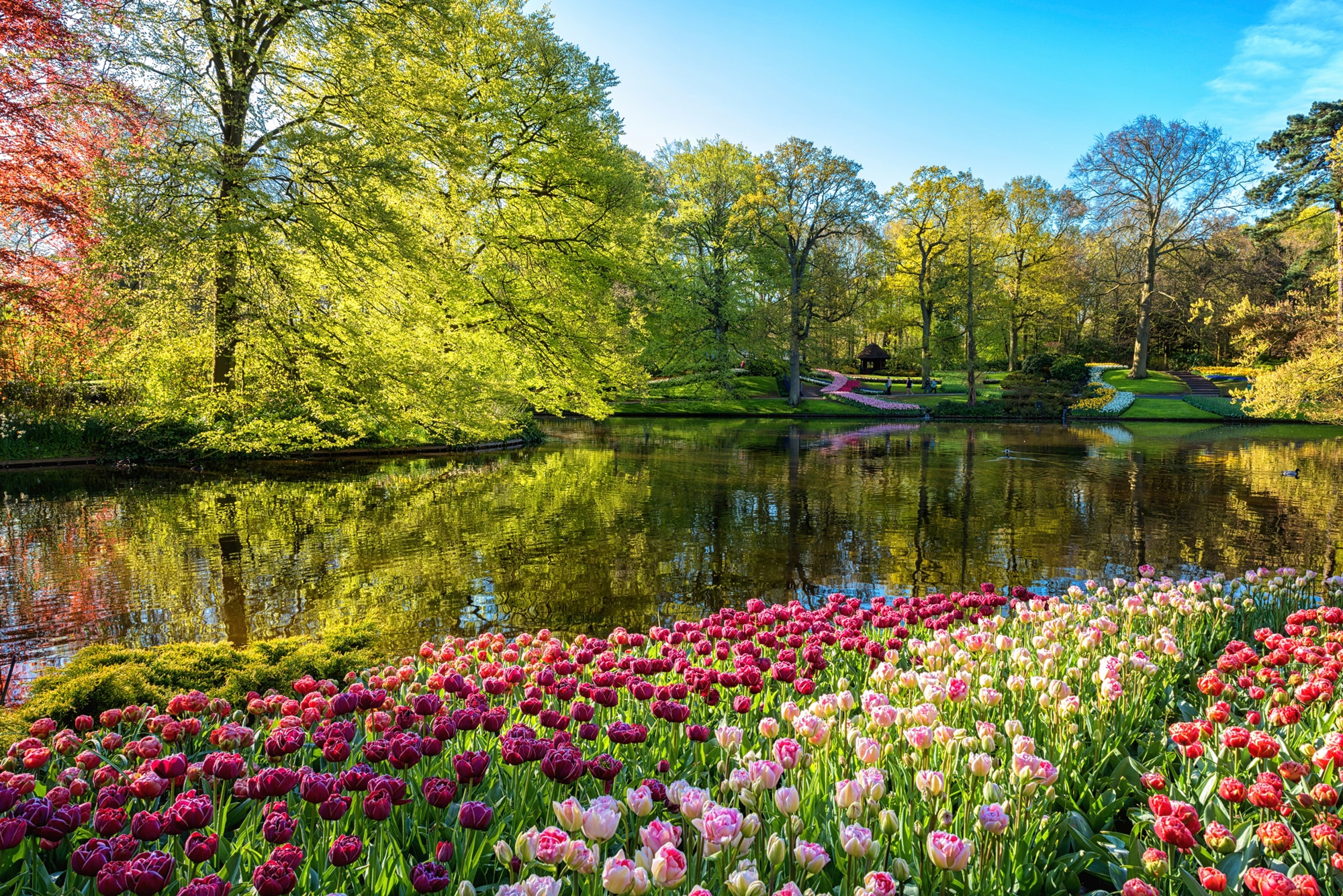 Papermoon Fototapete "GARTEN-BLUMEN BÄUME PFLANZEN STEINE WALD PARK BLÜTEN"