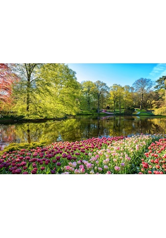 Fototapete »GARTEN-BLUMEN BÄUME PFLANZEN STEINE WALD PARK BLÜTEN«