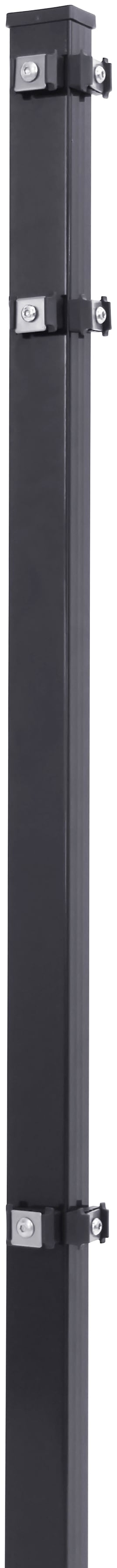 Peddy Shield 150 cm Höhe, für Ein- und Doppelstabmatten