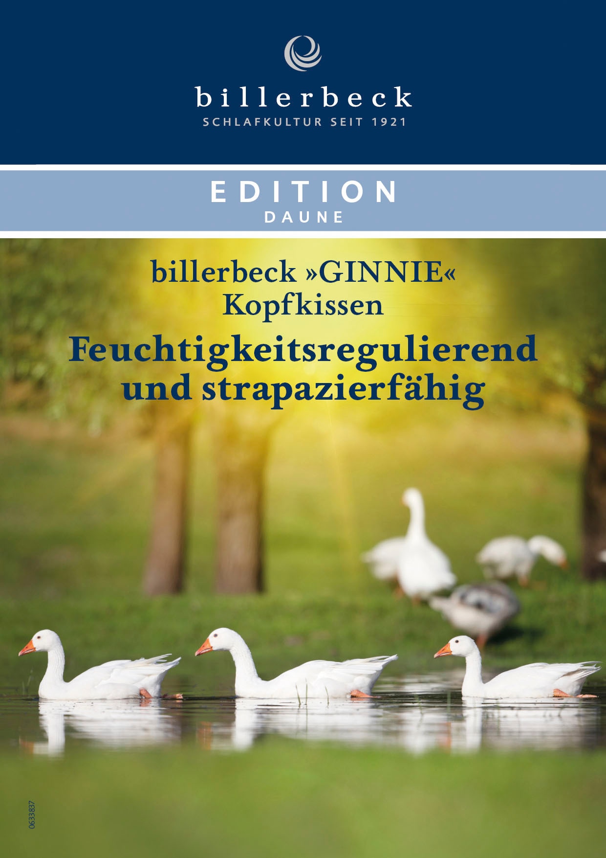 billerbeck Gänsefederkopfkissen »Ginnie 15, Kissen ist Allergiker freundlich (Hausstauballergiker)«, Füllung: 85% Gänsefeder, 15% Gänsedaunen, Bezug: 100% Baumwolle, (1 St.), Das Gänsedaunenkissen für höchsten Schlafkomfort