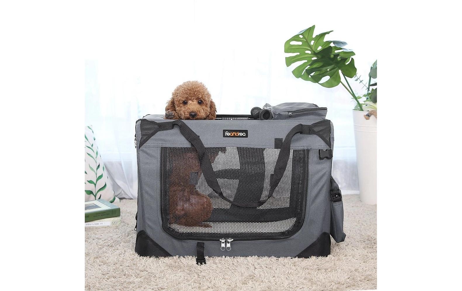 FEANDREA Tiertransportbox »für Hunde & Katzen S« bis 11 kg
