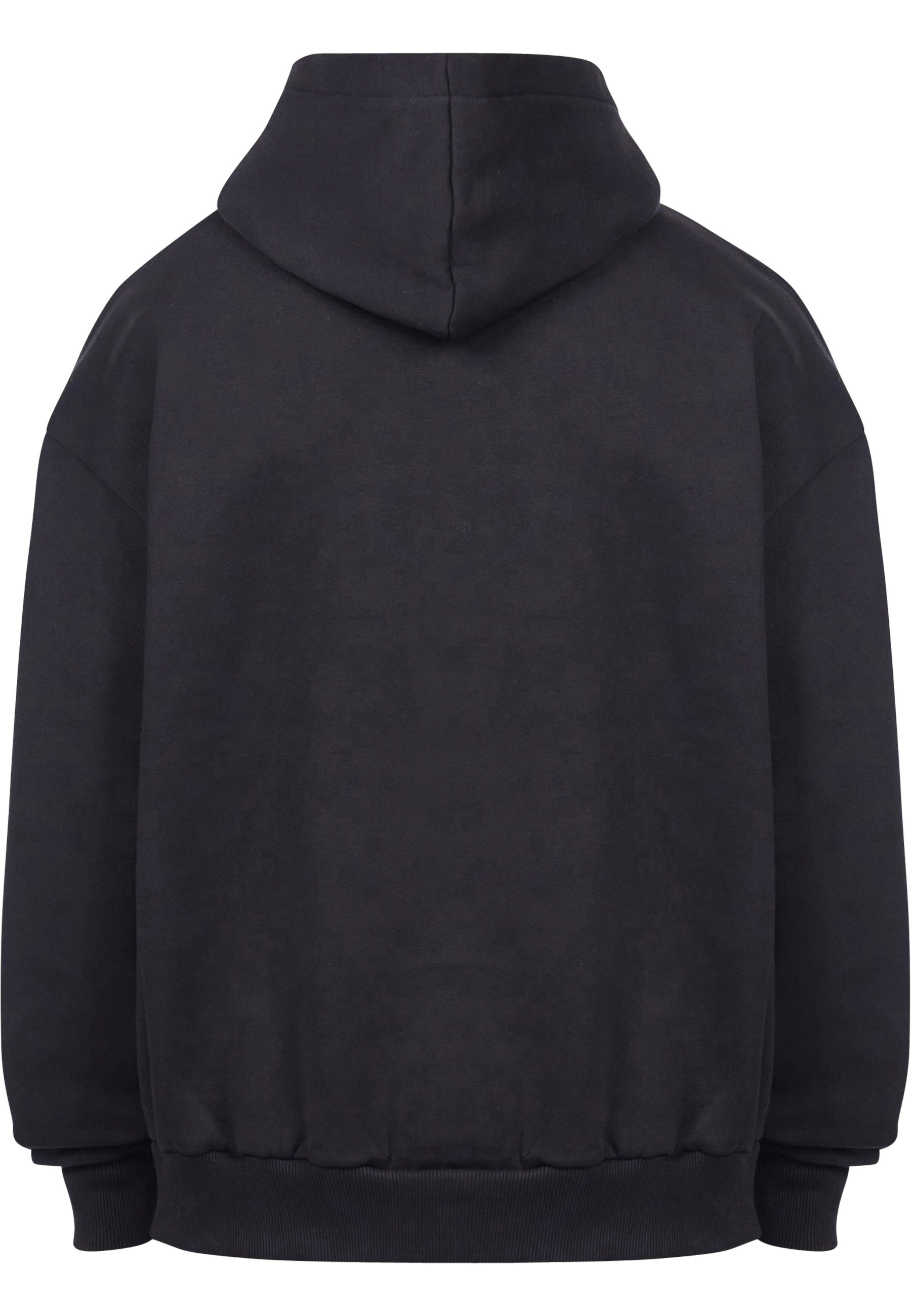 Dropsize Kapuzenpullover "Dropsize HEAVY OVERSIZE MIDDLE RUBBER PATCH HOODI günstig online kaufen