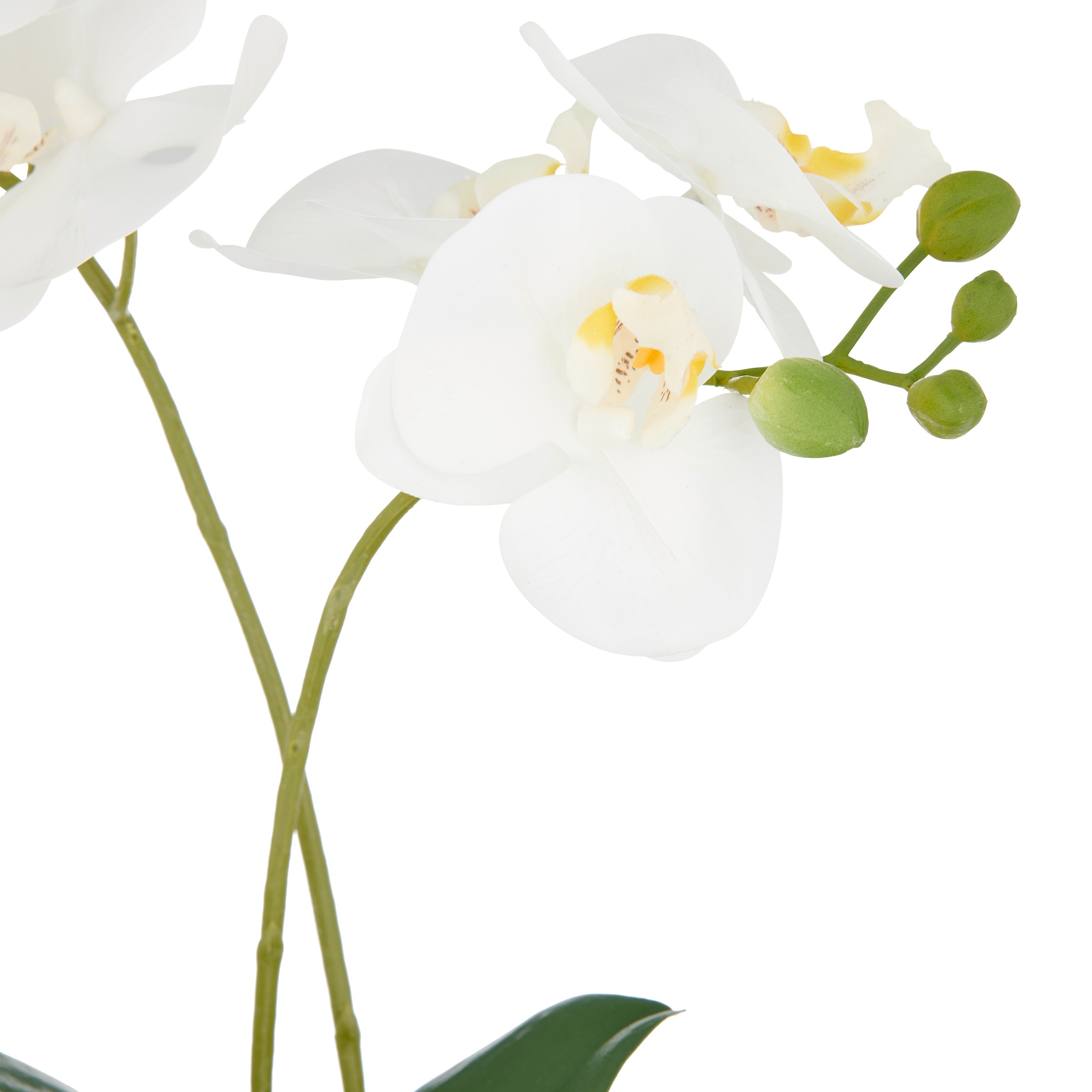 Creativ green Kunstorchidee "Orchidee Phalaenopsis", mit real-touch-Blüten günstig online kaufen