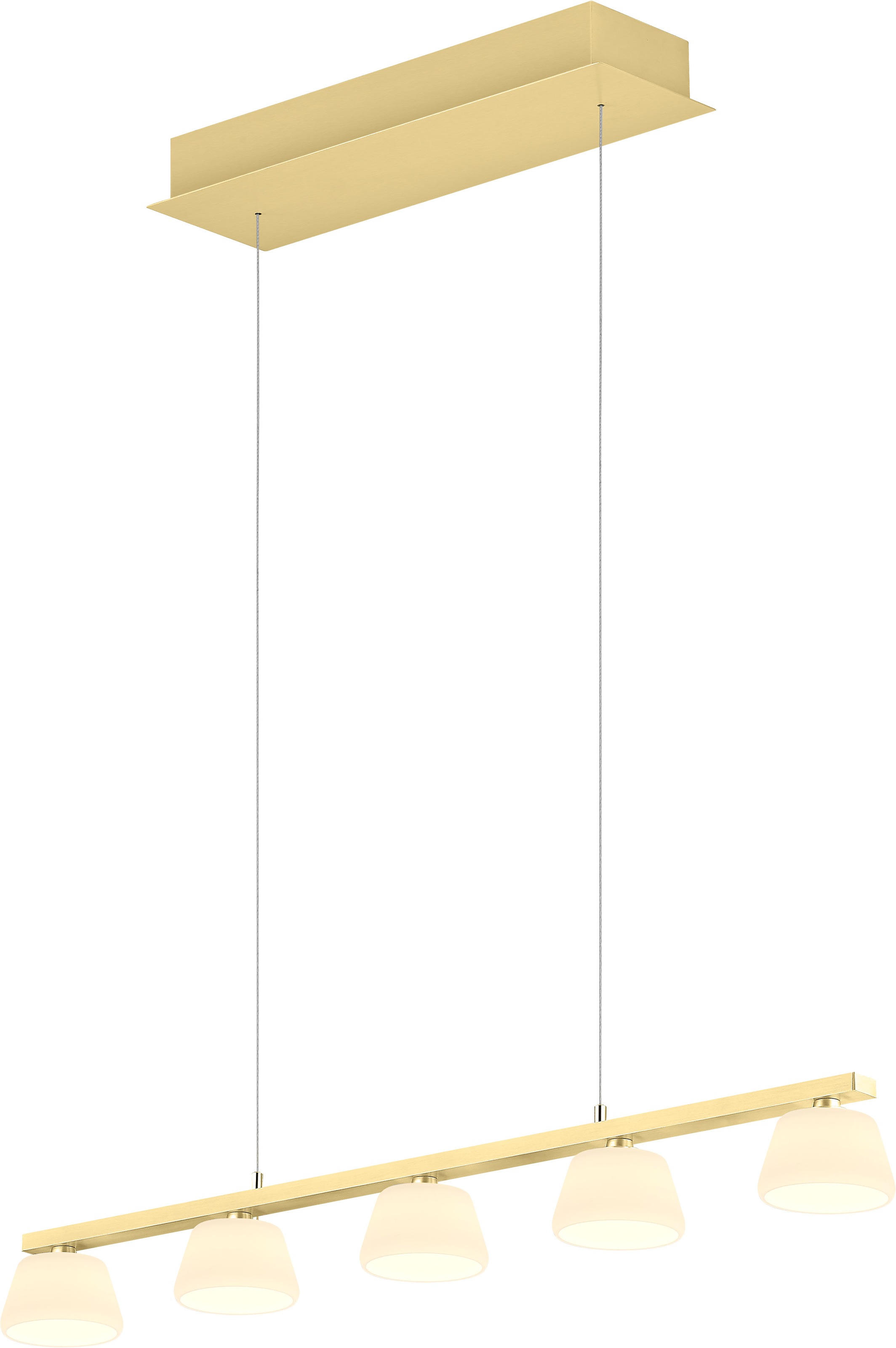 HELL höllisch gutes Licht LED Pendelleuchte »JANE« LED-Modul 1 Stk. Extra-Warmweiß Tastdimmer, Dim to warm, Stufenlos höhenverstellbar
