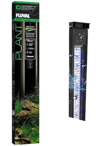 FLUVAL LED Aquariumleuchte »FL Plant 3.0 LED«...