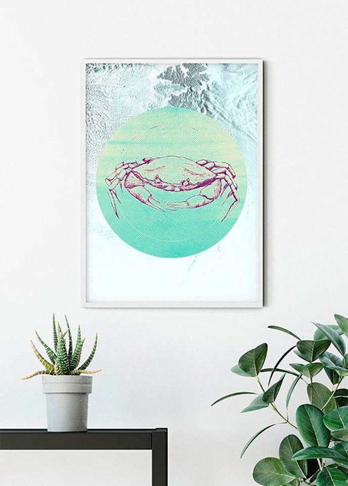 Komar Bild »Crab Sea«, Tiere, (1 St.), Wandbild zur Dekoration - ohne Rahmen