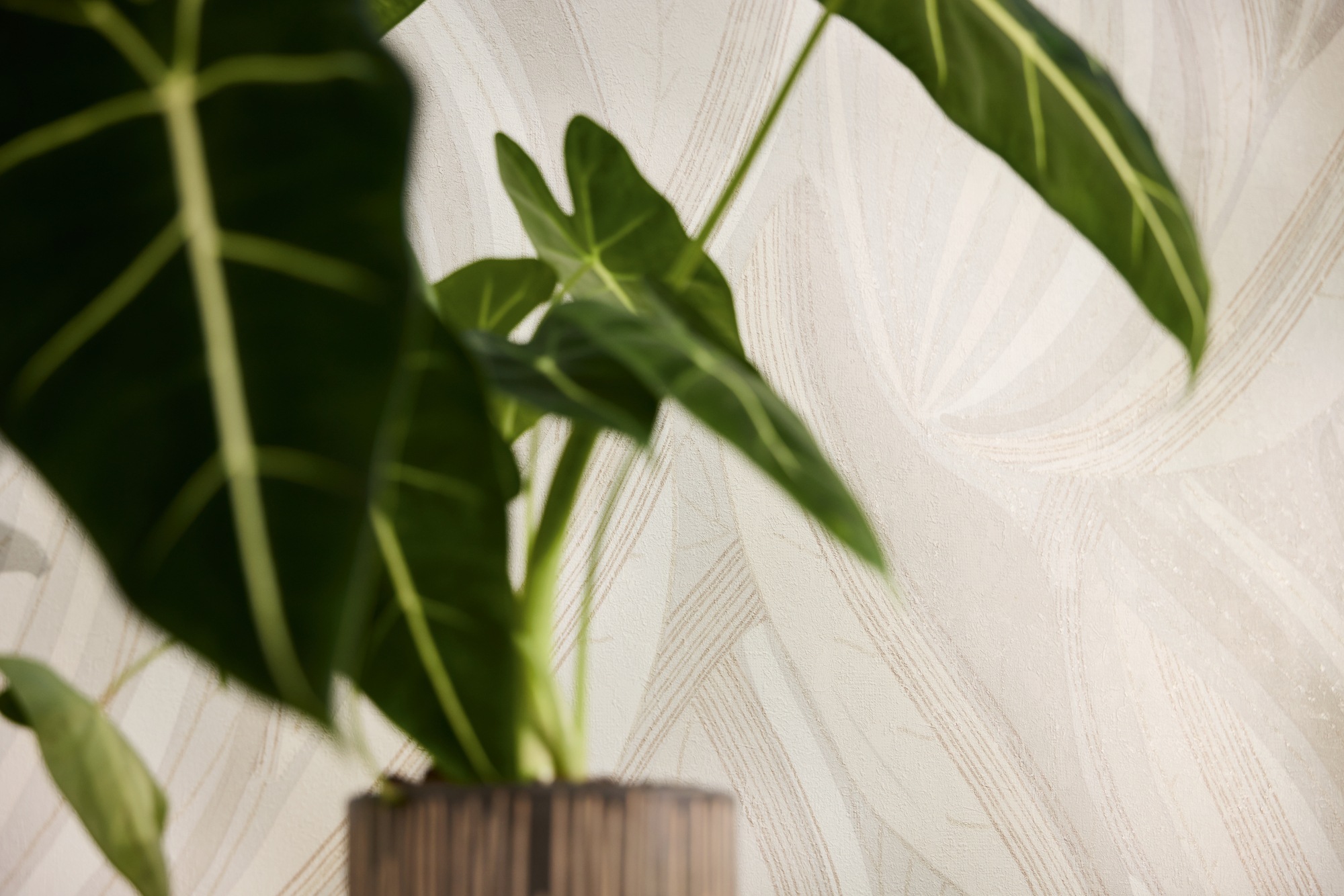 living walls Vliestapete »Dschungel-Tapete Türkis bunt strukturiert tropisch« botanisch strukturiert