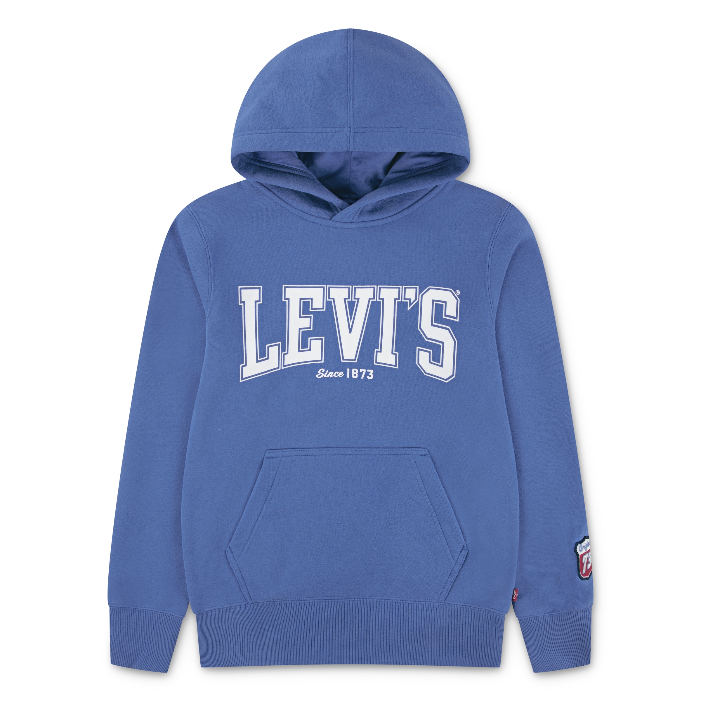 Levis Kids Kapuzensweatshirt "LVB THE GREAT HIGHWAY HOOD", mit kleinem Ärmelbadge